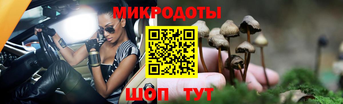 Псилоцибиновые грибы Psilocybine cubensis Великий Устюг